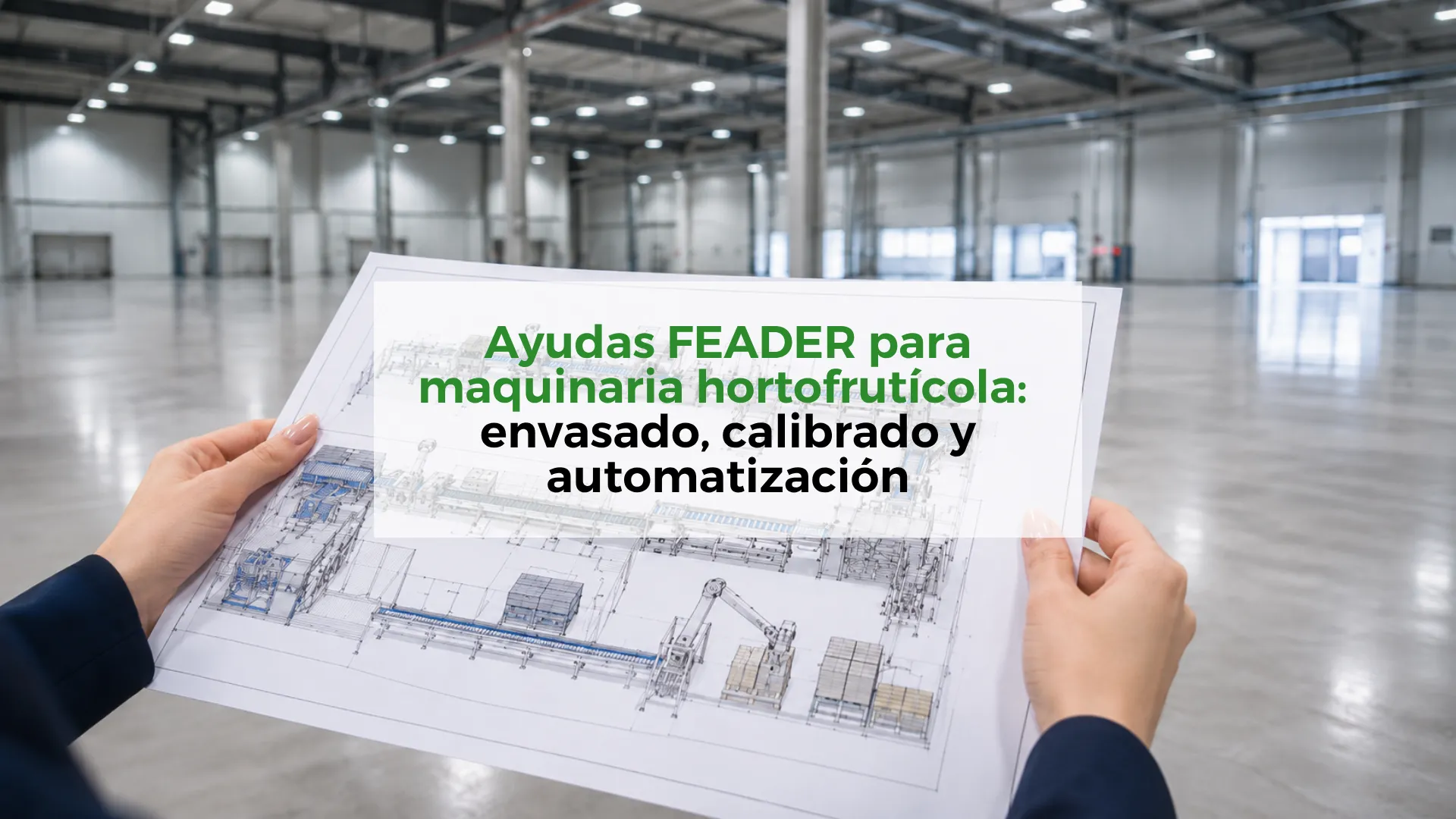 Ayudas-FEADER-para-maquinaria-hortofrutícola:-envasado,-calibrado-y-automatización